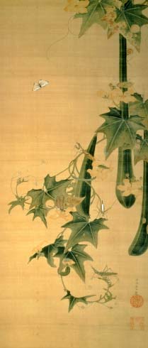 Snake-gourds and Insects