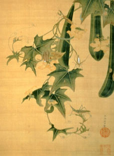 Snake-gourds and Insects